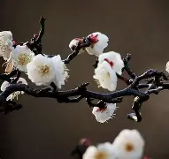 详细阅读:梅效(梅效应) 梅效(梅效应)